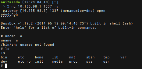 Offene Telnet Verbindung zu meiner Shell.