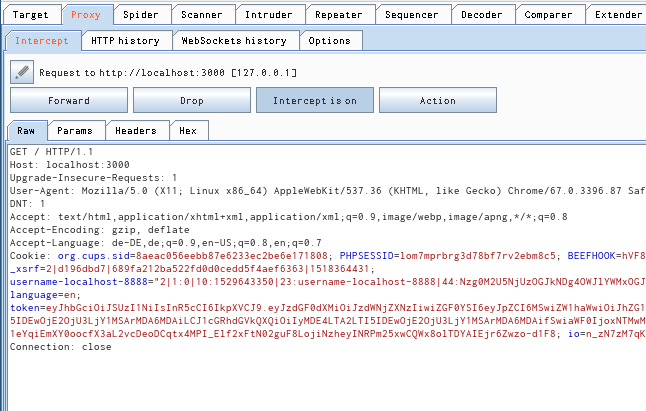 Anzeige eines Paketes im Intercepting Proxy