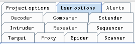 Tabs von Burp mit allen Hauptfunktionen